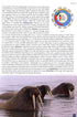 Europe's Sea Mammals - Still, R. ym. 2019